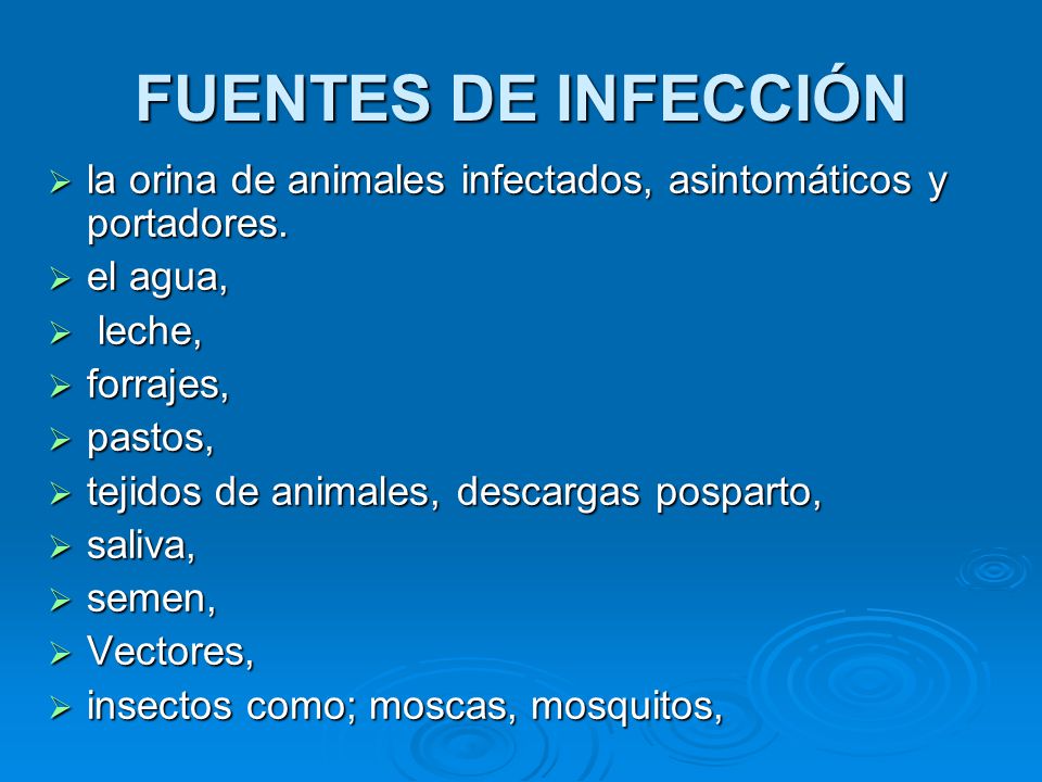 FUENTES DE INFECCIÓN la orina de animales infectados, asintomáticos y portadores. el agua, leche,