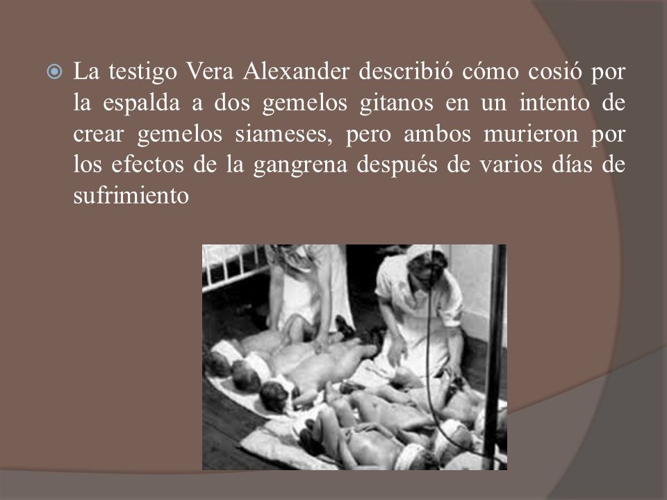 La testigo Vera Alexander describió cómo cosió por la espalda a dos gemelos gitanos en un intento de crear gemelos siameses, pero ambos murieron por los efectos de la gangrena después de varios días de sufrimiento