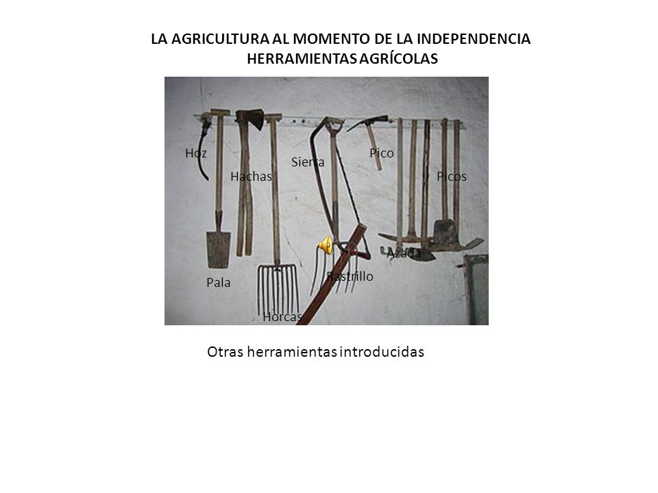 HERRAMIENTAS AGRÍCOLAS