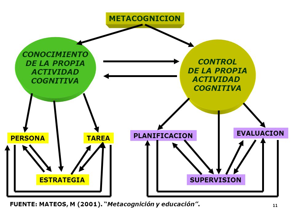 METACOGNICION CONOCIMIENTO DE LA PROPIA CONTROL ACTIVIDAD DE LA PROPIA