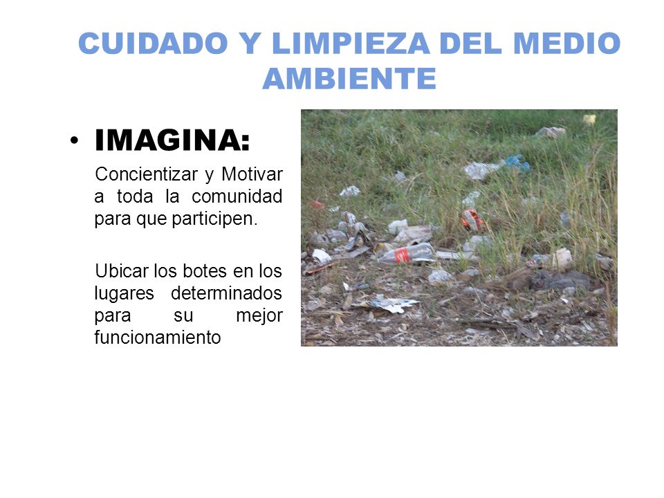CUIDADO Y LIMPIEZA DEL MEDIO AMBIENTE