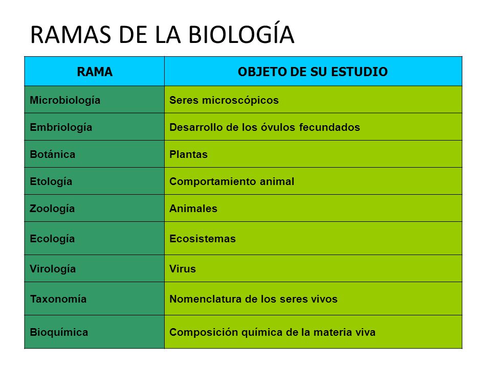 RAMAS DE LA BIOLOGÍA RAMA OBJETO DE SU ESTUDIO Microbiología