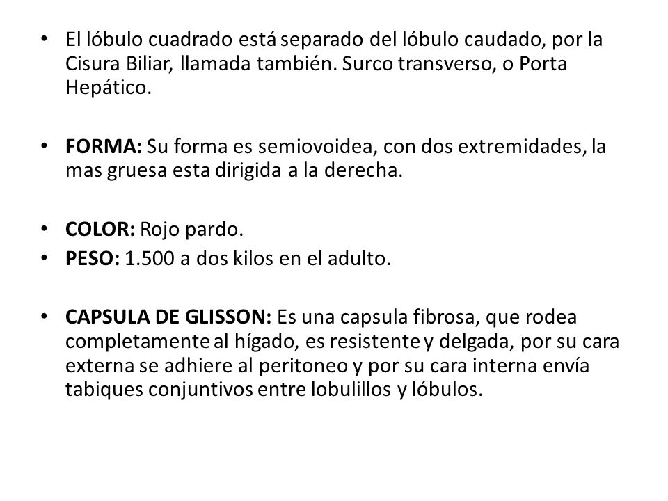 El lóbulo cuadrado está separado del lóbulo caudado, por la Cisura Biliar, llamada también. Surco transverso, o Porta Hepático.