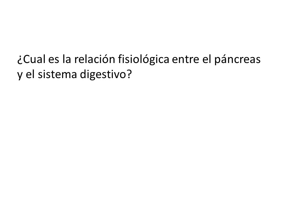 ¿Cual es la relación fisiológica entre el páncreas y el sistema digestivo