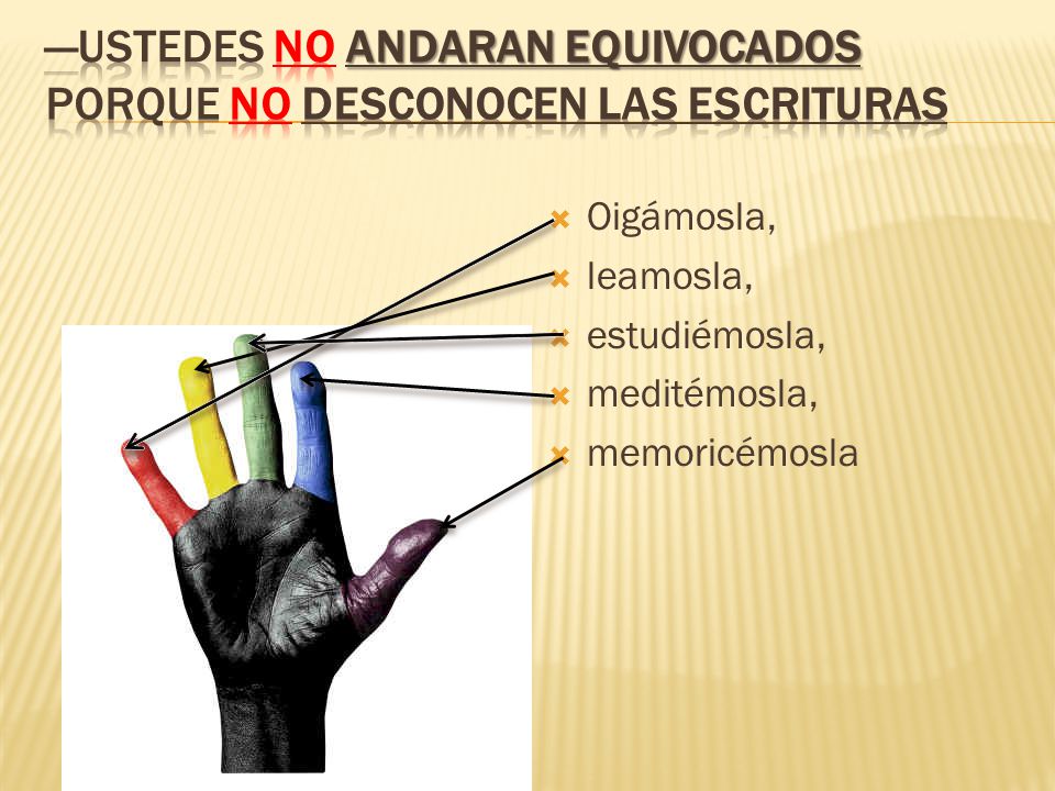 —Ustedes no andaran equivocados porque no desconocen las Escrituras