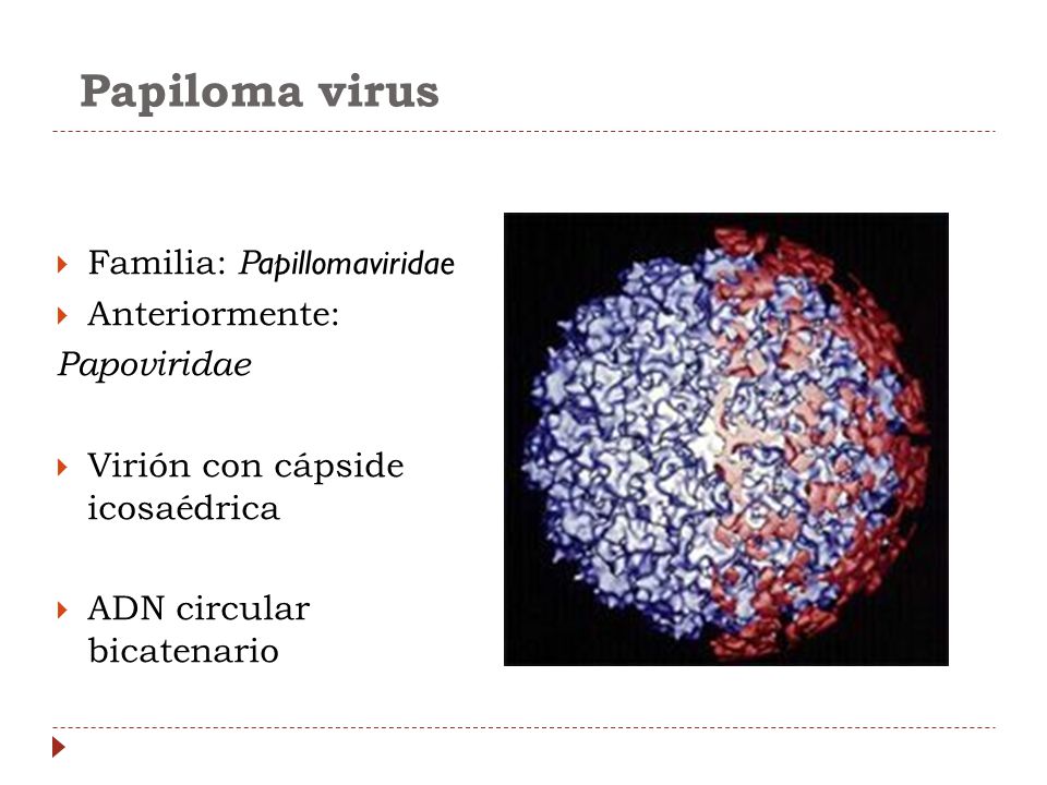 Papiloma virus Familia: Papillomaviridae Anteriormente: Papoviridae
