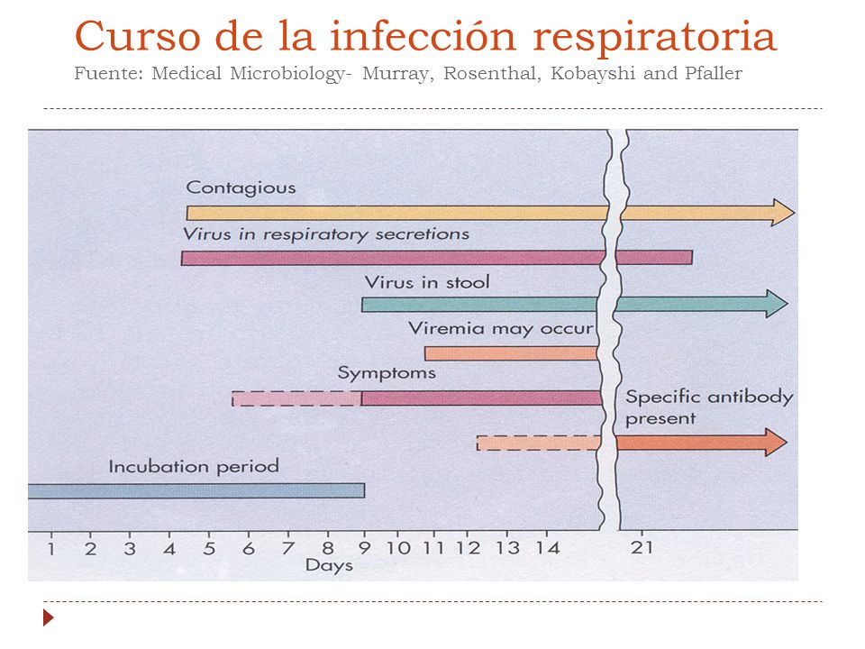 Curso de la infección respiratoria Fuente: Medical Microbiology- Murray, Rosenthal, Kobayshi and Pfaller