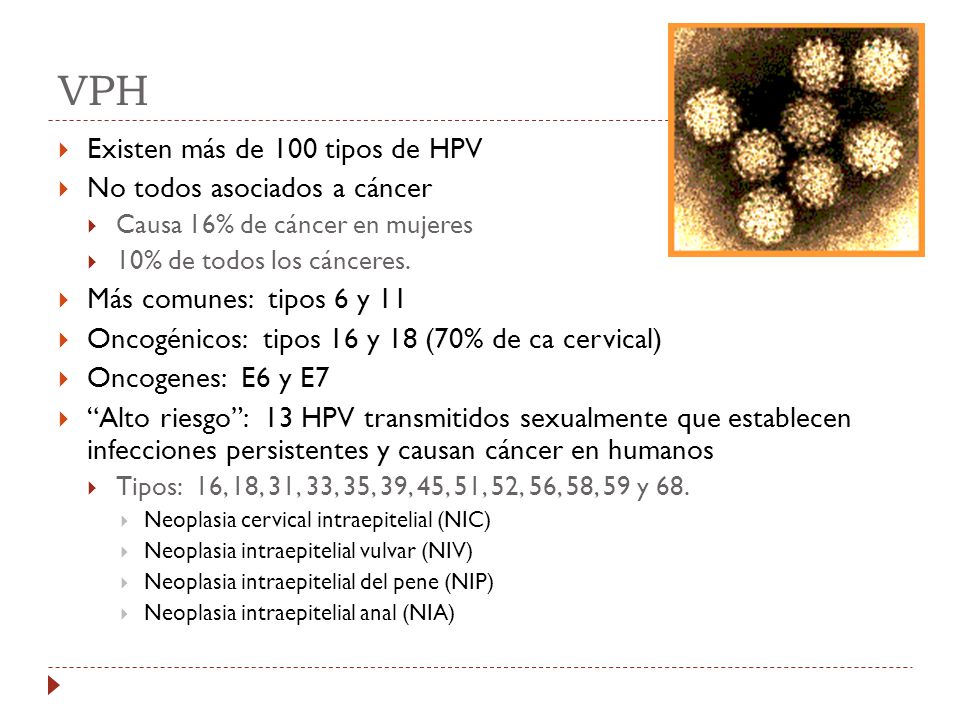 VPH Existen más de 100 tipos de HPV No todos asociados a cáncer