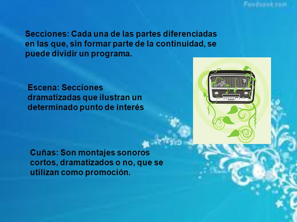 Secciones: Cada una de las partes diferenciadas en las que, sin formar parte de la continuidad, se puede dividir un programa.