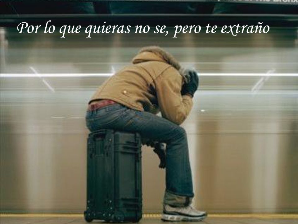 Por lo que quieras no se, pero te extraño