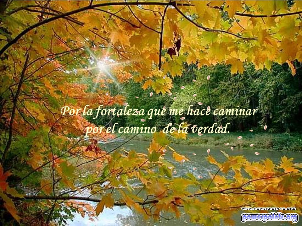 Por la fortaleza que me hace caminar por el camino de la verdad.