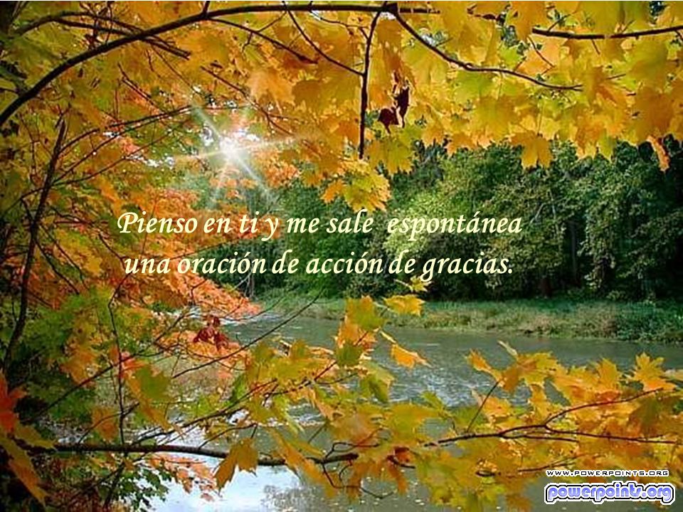 Pienso en ti y me sale espontánea una oración de acción de gracias.