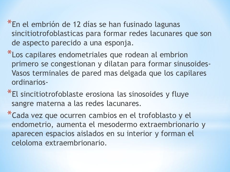 En el embrión de 12 días se han fusinado lagunas sincitiotrofoblasticas para formar redes lacunares que son de aspecto parecido a una esponja.