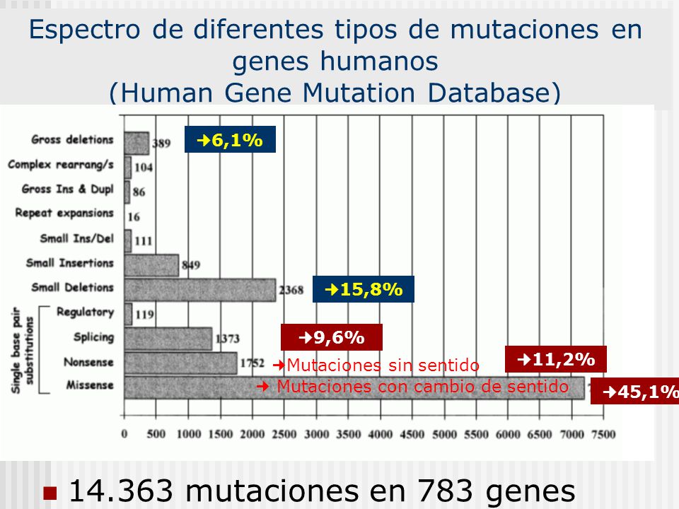 Espectro de diferentes tipos de mutaciones en genes humanos (Human Gene Mutation Database)