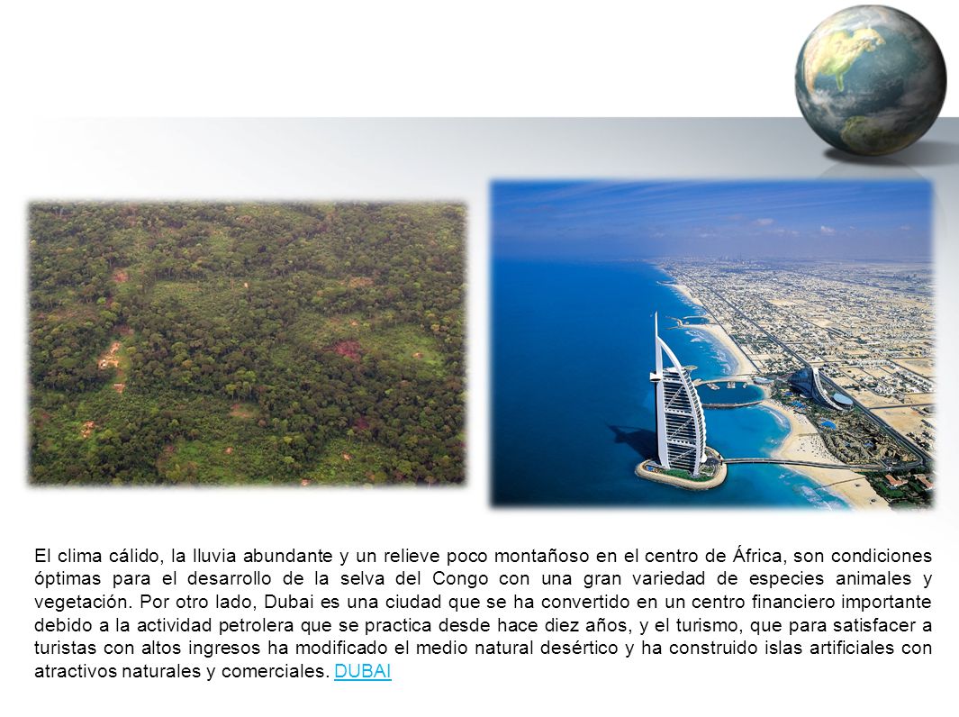 El clima cálido, la lluvia abundante y un relieve poco montañoso en el centro de África, son condiciones óptimas para el desarrollo de la selva del Congo con una gran variedad de especies animales y vegetación.