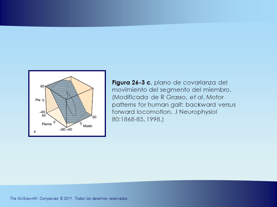 Figura 26-3 c, plano de covarianza del movimiento del segmento del miembro.