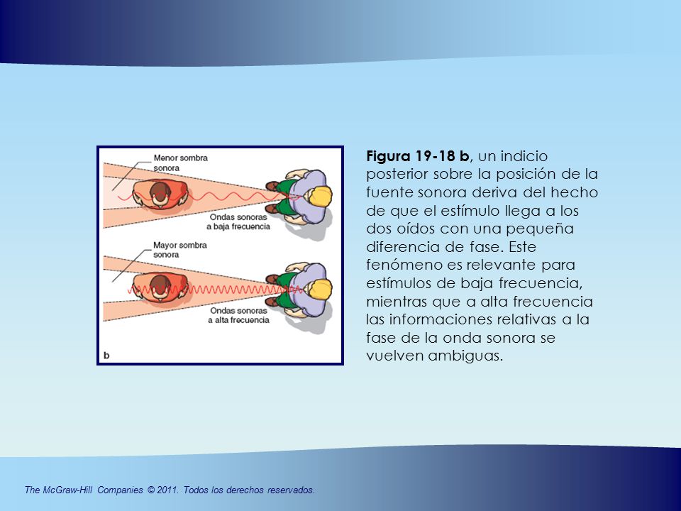 Figura b, un indicio posterior sobre la posición de la fuente sonora deriva del hecho de que el estímulo llega a los dos oídos con una pequeña diferencia de fase.
