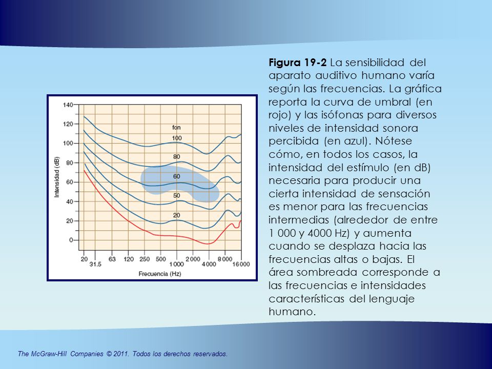 Figura 19-2 La sensibilidad del aparato auditivo humano varía según las frecuencias. La gráfica reporta la curva de umbral (en rojo) y las isófonas para diversos niveles de intensidad sonora percibida (en azul). Nótese cómo, en todos los casos, la intensidad del estímulo (en dB) necesaria para producir una cierta intensidad de sensación es menor para las frecuencias