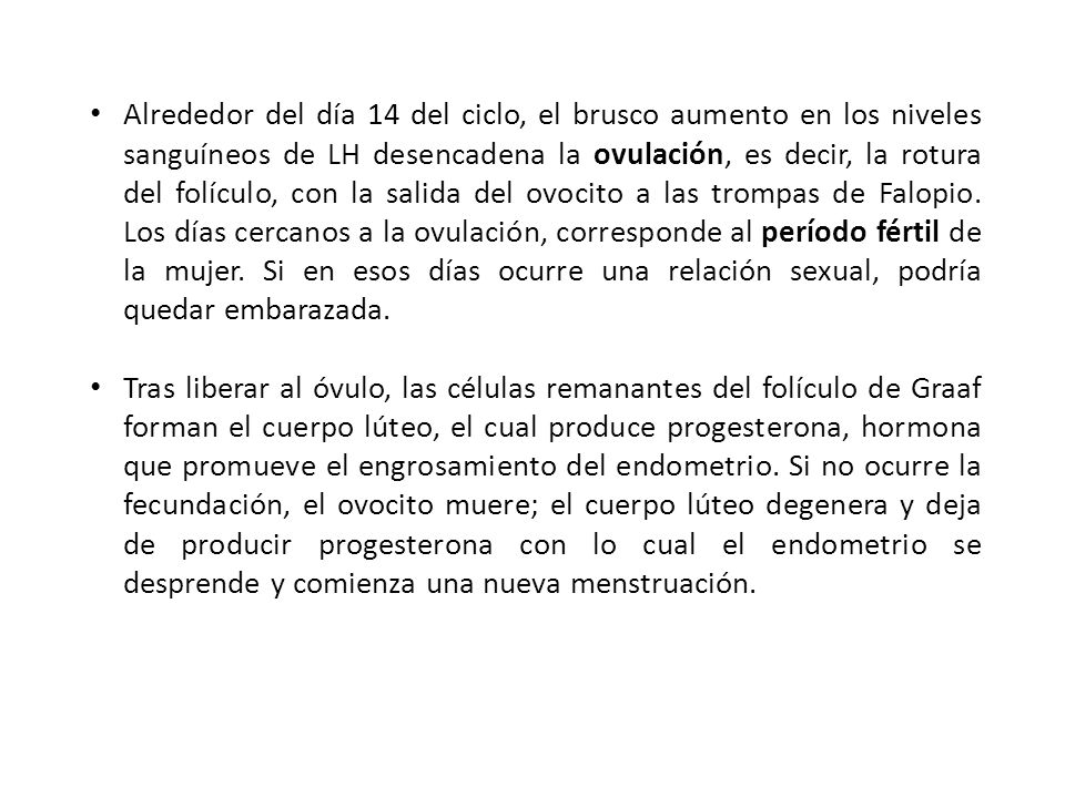 Alrededor del día 14 del ciclo, el brusco aumento en los niveles sanguíneos de LH desencadena la ovulación, es decir, la rotura del folículo, con la salida del ovocito a las trompas de Falopio. Los días cercanos a la ovulación, corresponde al período fértil de la mujer. Si en esos días ocurre una relación sexual, podría quedar embarazada.