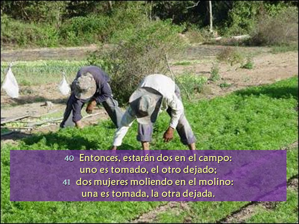 uno es tomado, el otro dejado; una es tomada, la otra dejada.