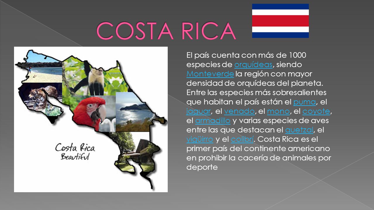 COSTA RICA El país cuenta con más de 1000 especies de orquídeas, siendo Monteverde la región con mayor densidad de orquídeas del planeta.