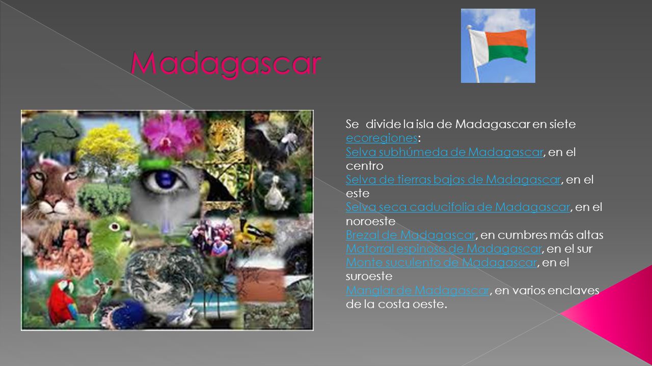 Madagascar Se divide la isla de Madagascar en siete ecoregiones: