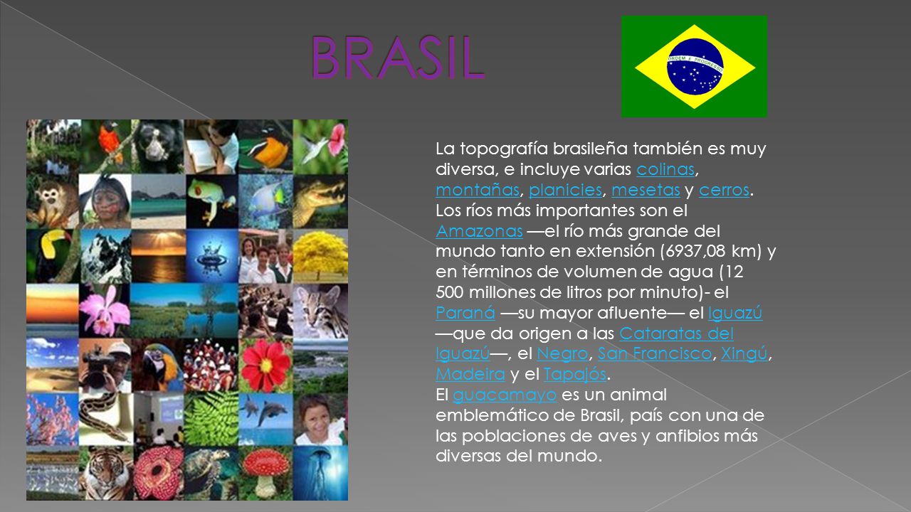 BRASIL La topografía brasileña también es muy diversa, e incluye varias colinas, montañas, planicies, mesetas y cerros.