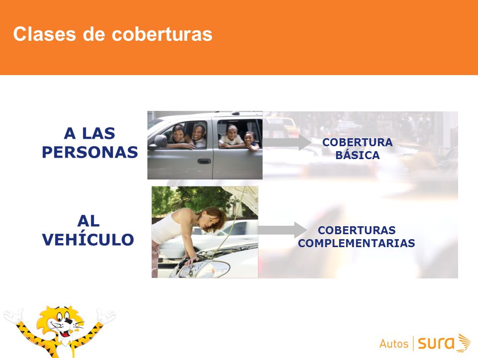 COBERTURAS COMPLEMENTARIAS