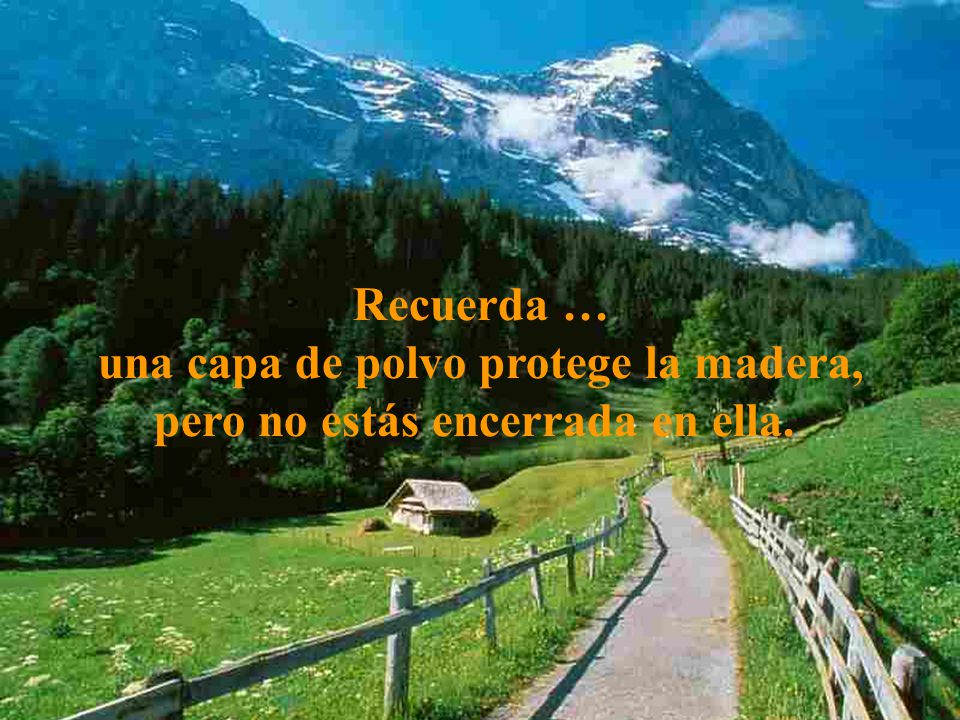 una capa de polvo protege la madera, pero no estás encerrada en ella.