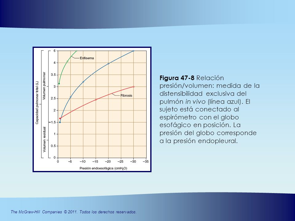 Figura 47-8 Relación presión/volumen: medida de la distensibilidad exclusiva del pulmón in vivo (línea azul). El sujeto está conectado al espirómetro con el globo esofágico en posición. La presión del globo corresponde