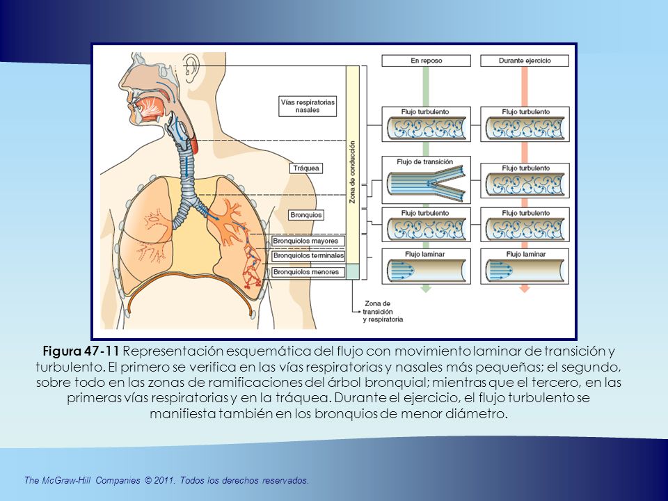 Figura Representación esquemática del flujo con movimiento laminar de transición y turbulento.