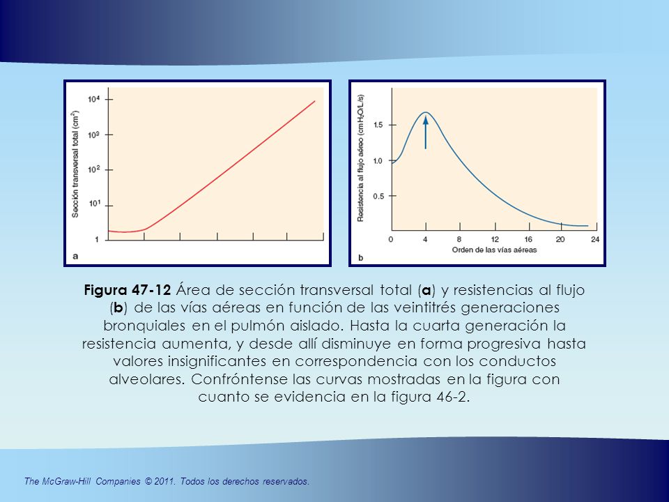 Figura Área de sección transversal total (a) y resistencias al flujo