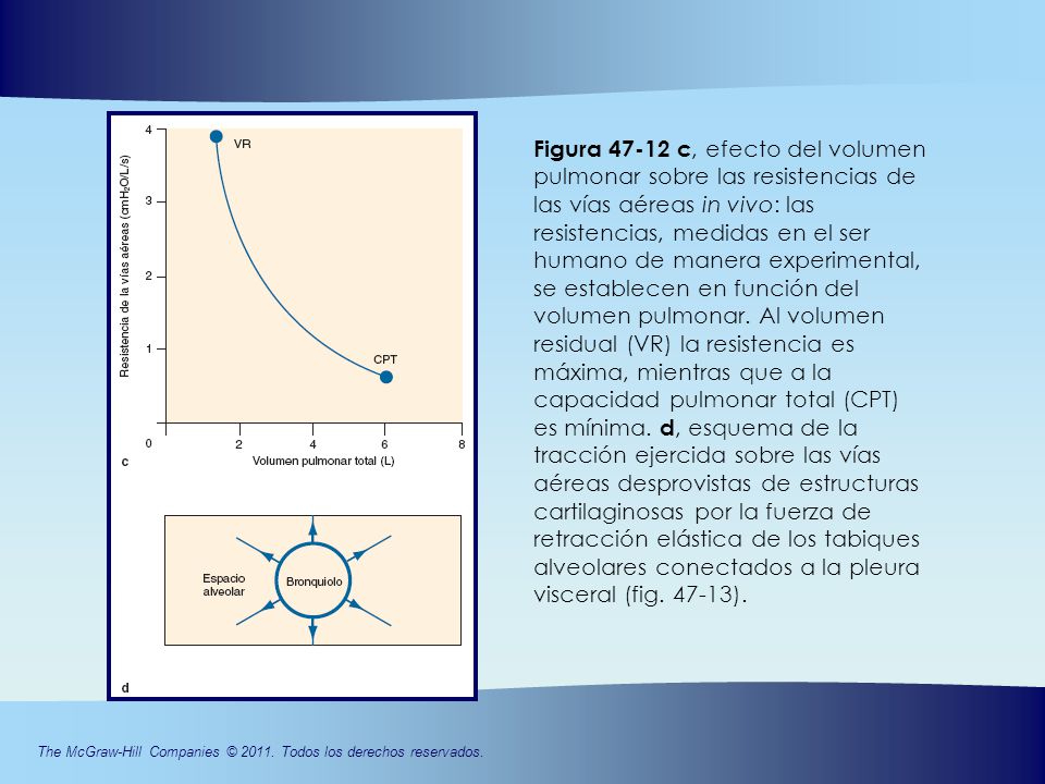 Figura c, efecto del volumen pulmonar sobre las resistencias de las vías aéreas in vivo: las resistencias, medidas en el ser humano de manera experimental, se establecen en función del volumen pulmonar. Al volumen residual (VR) la resistencia es máxima, mientras que a la capacidad pulmonar total (CPT)