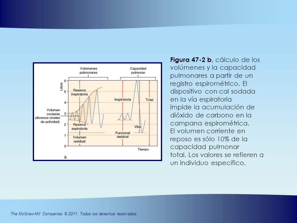 Figura 47-2 b, cálculo de los volúmenes y la capacidad pulmonares a partir de un