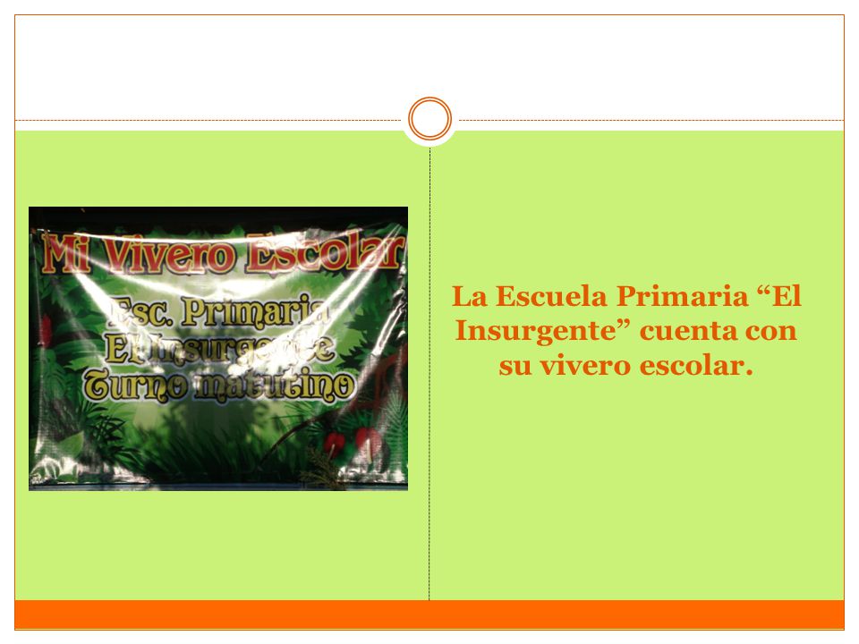 La Escuela Primaria El Insurgente cuenta con su vivero escolar.