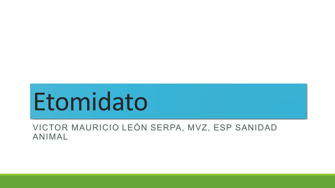 Etomidato Victor Mauricio León Serpa, MVZ, Esp sanidad animal