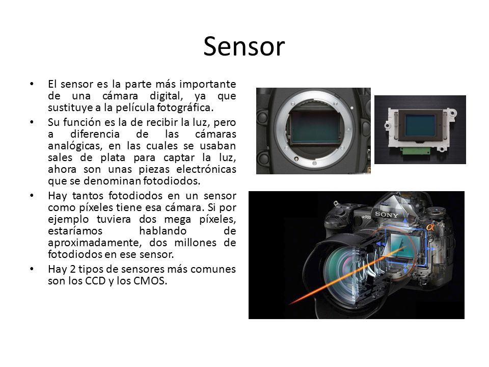 Sensor El sensor es la parte más importante de una cámara digital, ya que sustituye a la película fotográfica.
