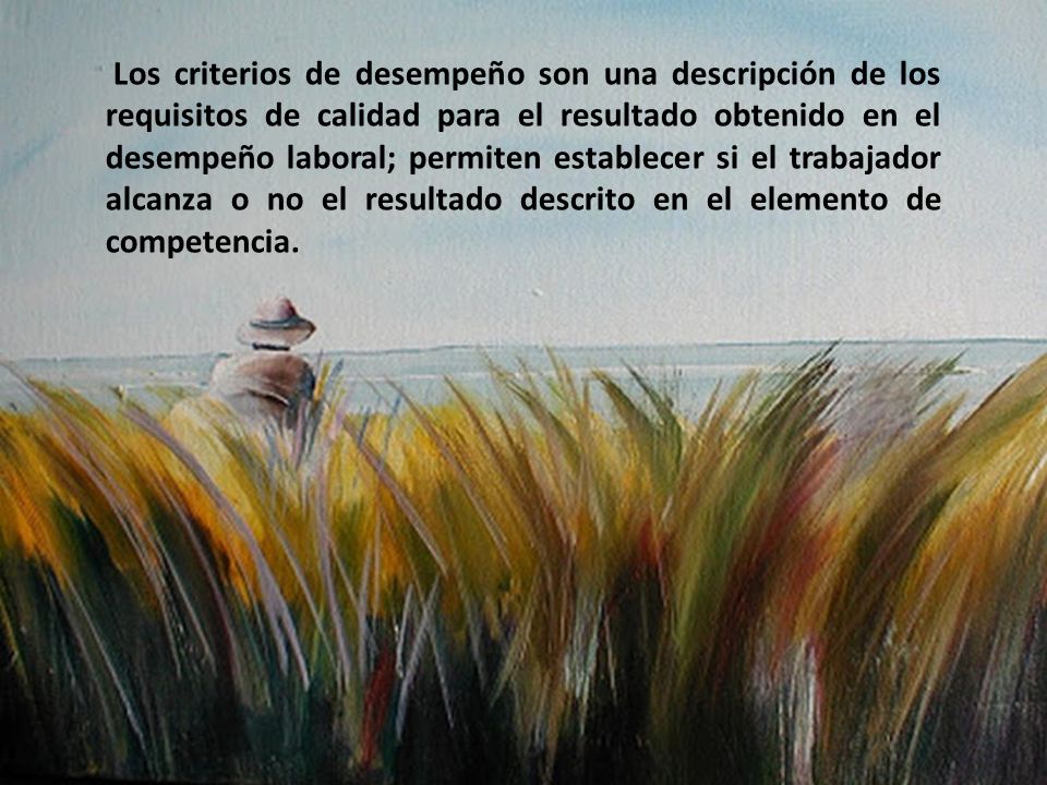 Los criterios de desempeño son una descripción de los requisitos de calidad para el resultado obtenido en el desempeño laboral; permiten establecer si el trabajador alcanza o no el resultado descrito en el elemento de competencia.