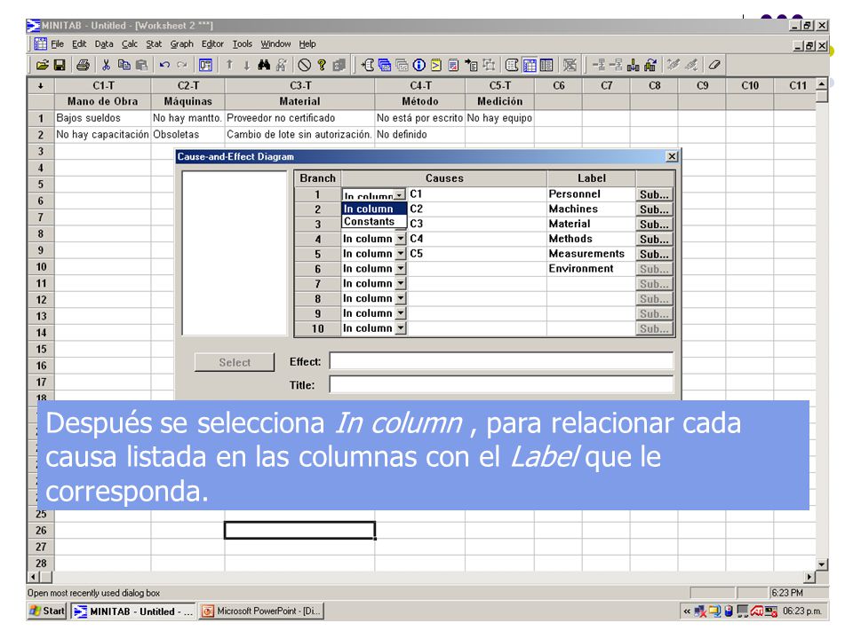 Después se selecciona In column , para relacionar cada causa listada en las columnas con el Label que le corresponda.