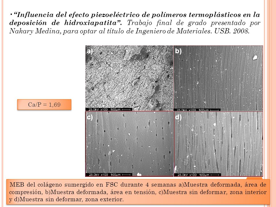 Influencia del efecto piezoeléctrico de polímeros termoplásticos en la deposición de hidroxiapatita . Trabajo final de grado presentado por Nakary Medina, para optar al título de Ingeniero de Materiales. USB