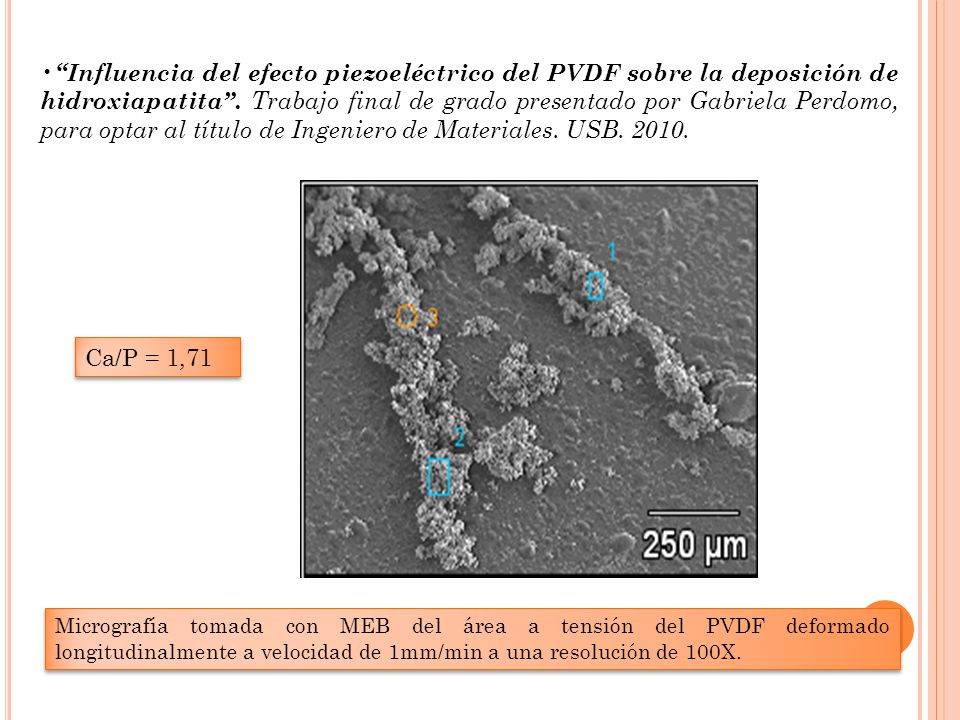 Influencia del efecto piezoeléctrico del PVDF sobre la deposición de hidroxiapatita . Trabajo final de grado presentado por Gabriela Perdomo, para optar al título de Ingeniero de Materiales. USB
