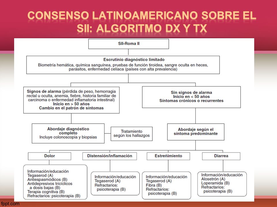 Consenso latinoamericano sobre el SII: Algoritmo dx y tx