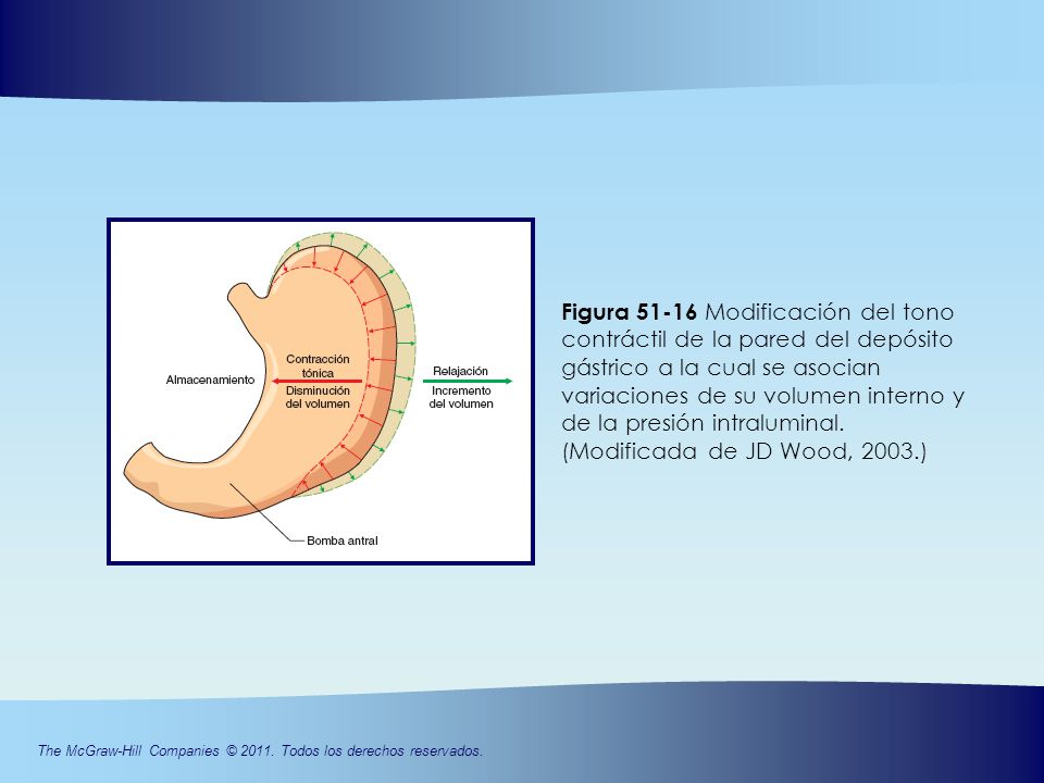 Figura Modificación del tono contráctil de la pared del depósito