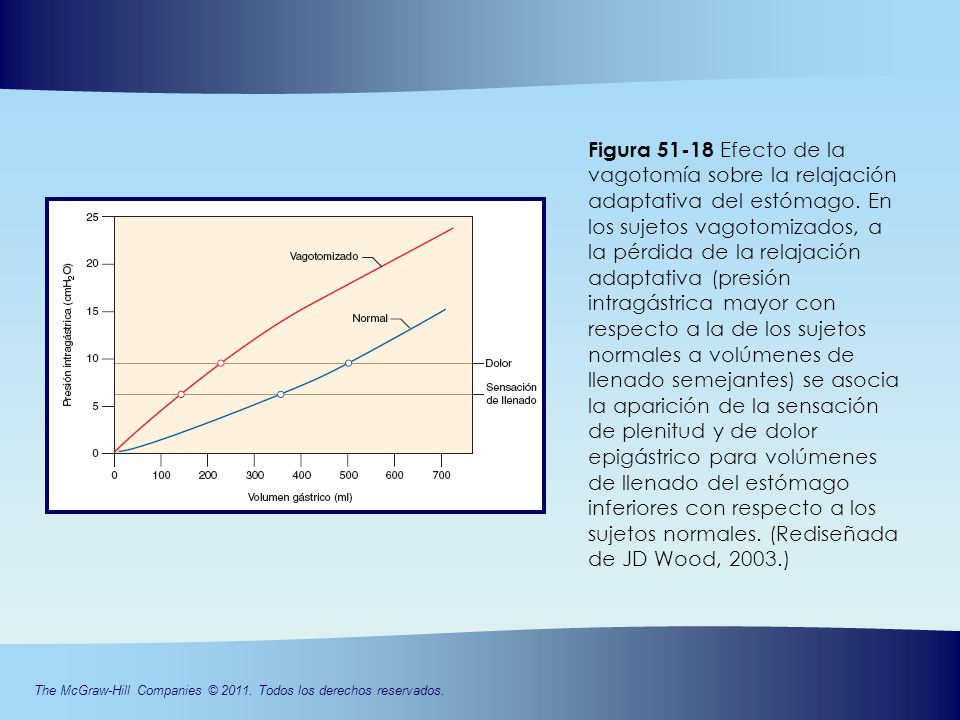 Figura Efecto de la vagotomía sobre la relajación adaptativa del estómago. En los sujetos vagotomizados, a la pérdida de la relajación