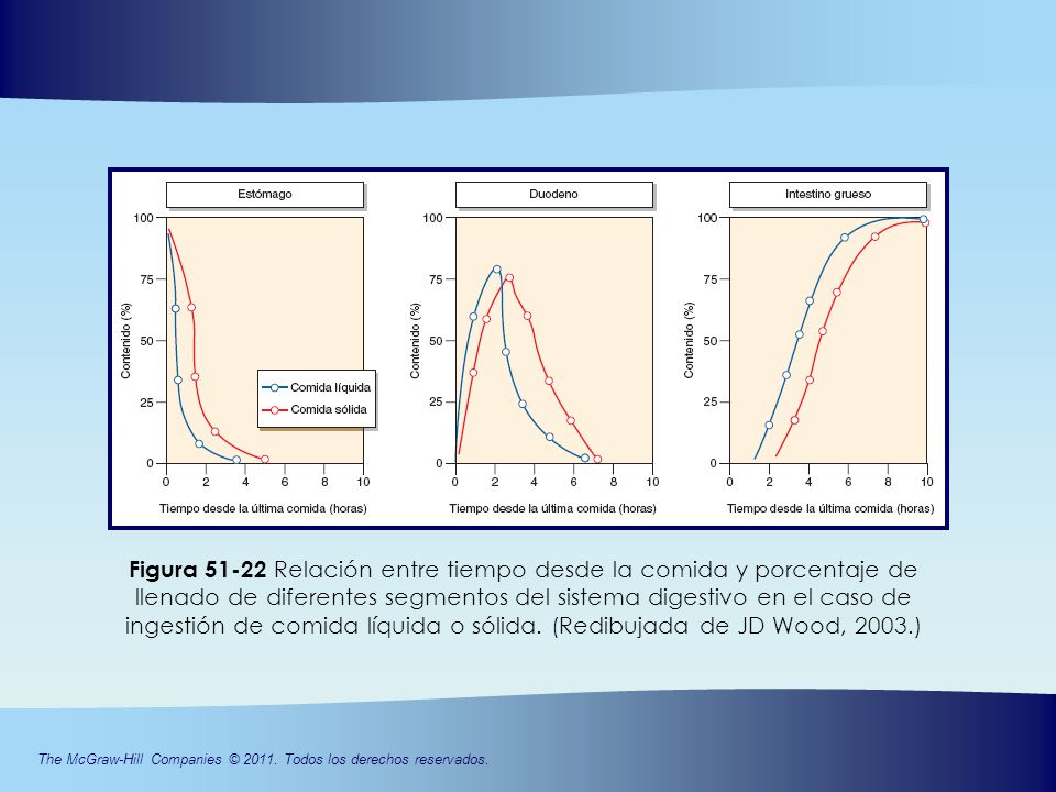 Figura Relación entre tiempo desde la comida y porcentaje de llenado de diferentes segmentos del sistema digestivo en el caso de ingestión de comida líquida o sólida.