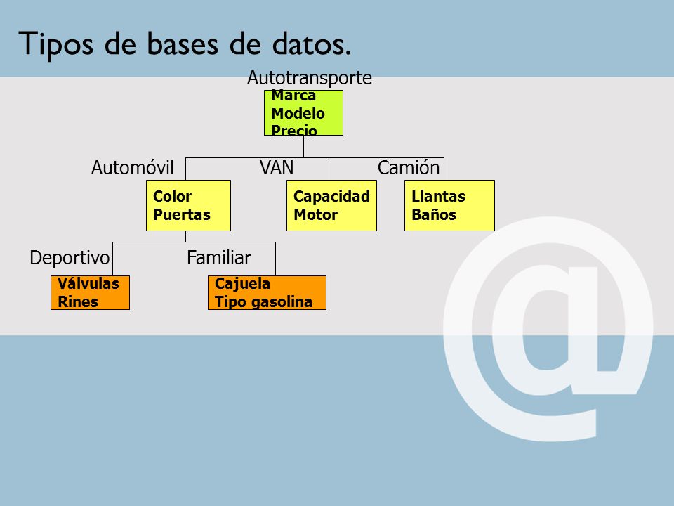 Tipos de bases de datos. Autotransporte Automóvil VAN Camión Deportivo