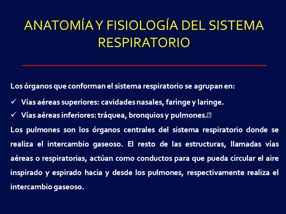 ANATOMÍA Y FISIOLOGÍA DEL SISTEMA RESPIRATORIO