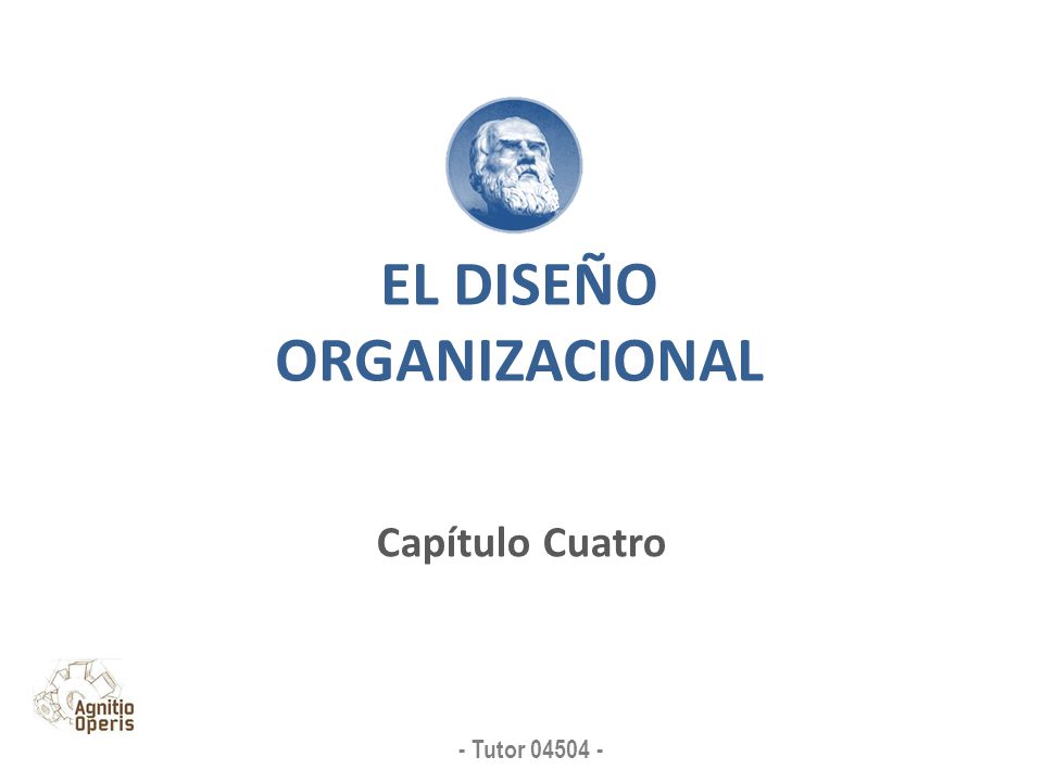 EL DISEÑO ORGANIZACIONAL