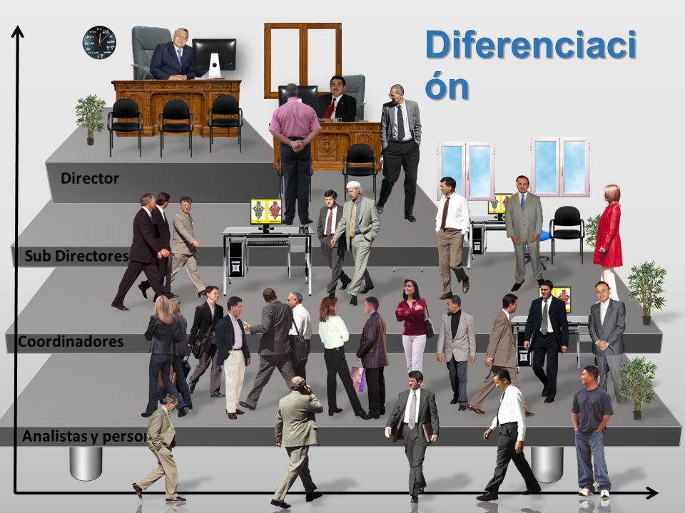 Diferenciación Sub Dirección Director Sub Directores Coordinadores