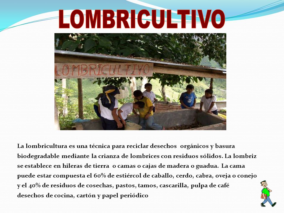LOMBRICULTIVO La lombricultura es una técnica para reciclar desechos orgánicos y basura.